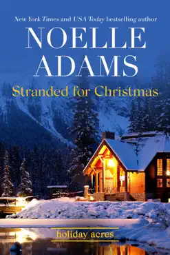 stranded for christmas book cover image