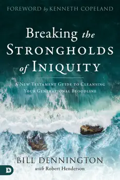 breaking the strongholds of iniquity book cover image