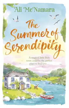 the summer of serendipity book cover image