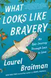 What Looks Like Bravery synopsis, comments