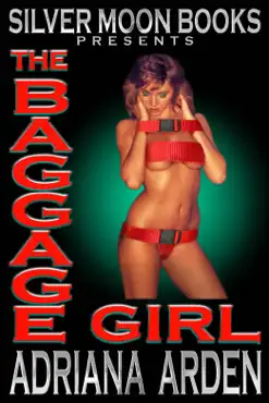 the baggage girl book cover image