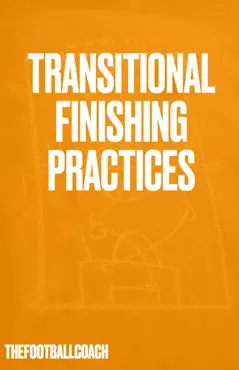 transitional finishing practices landscape book cover image