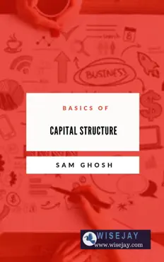 basics of capital structure book cover image