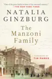 The Manzoni Family synopsis, comments