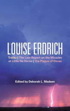 louise erdrich book cover image