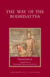 The Way of the Bodhisattva synopsis, comments