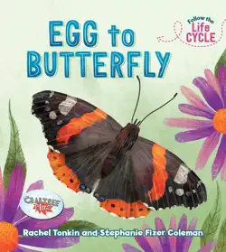 egg to butterfly book cover image