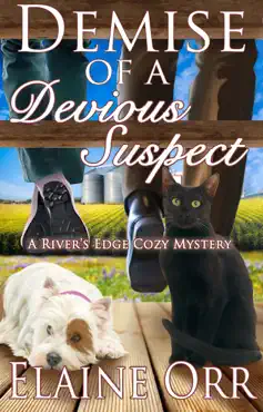 demise of a devious suspect book cover image