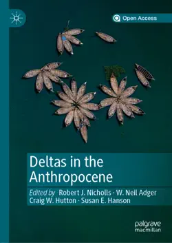 deltas in the anthropocene book cover image