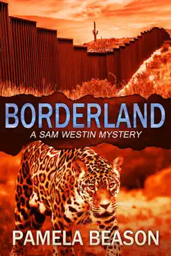 borderland book cover image