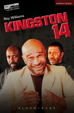 kingston 14 book cover image