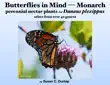 Butterflies in Mind - Monarchs synopsis, comments
