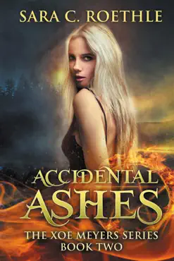 accidental ashes book cover image