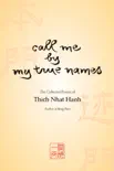 Call Me by My True Names synopsis, comments