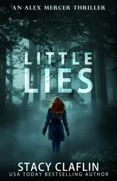 little lies book cover image