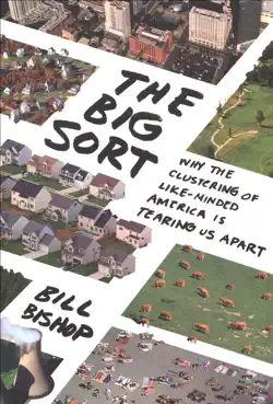 the big sort book cover image