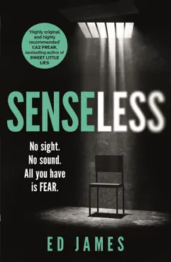 senseless book cover image