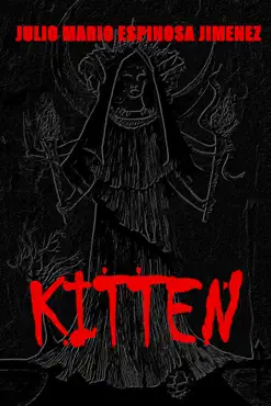 kitten book cover image