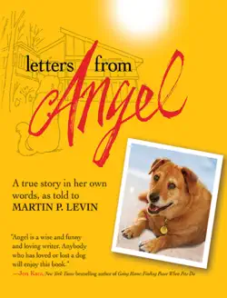 letters from angel book cover image