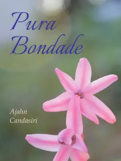 pura bondade book cover image