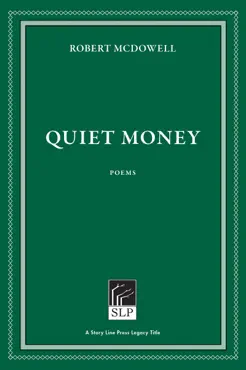 quiet money book cover image