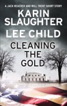 Cleaning the Gold book summary, reviews and downlod