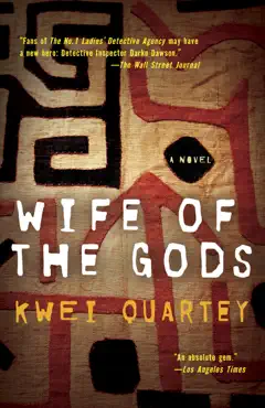 wife of the gods imagen de la portada del libro