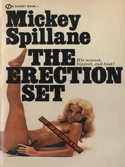 the erection set book cover image