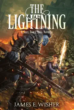 the lightning book cover image