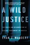 A Wild Justice: The Death and Resurrection of Capital Punishment in America sinopsis y comentarios