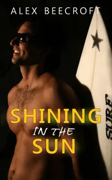 shining in the sun book cover image