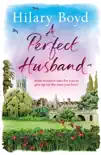 A Perfect Husband synopsis, comments