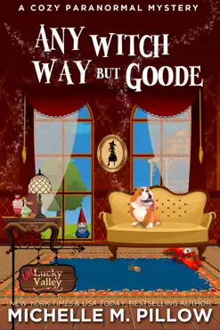 any witch way but goode book cover image
