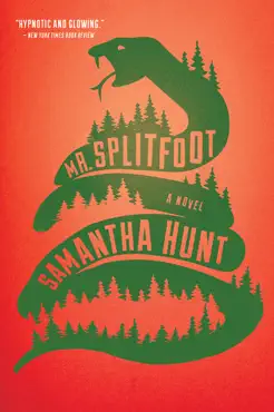 mr. splitfoot book cover image