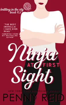 ninja at first sight: a first love romance book cover image