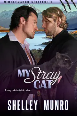 my stray cat book cover image