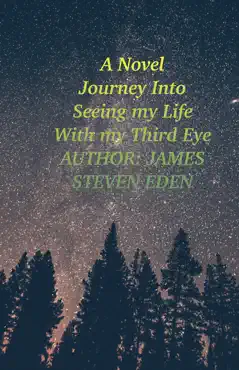 modern novel 3 book cover image