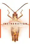 Incineration synopsis, comments