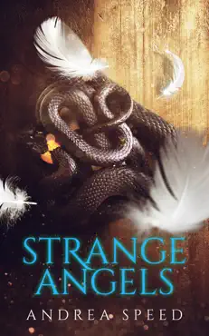 strange angels book cover image