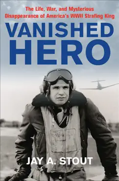 vanished hero book cover image