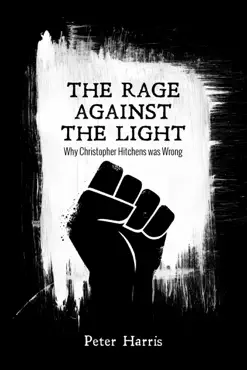 the rage against the light book cover image