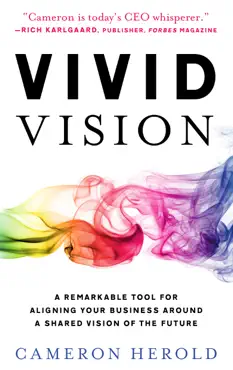 vivid vision book cover image