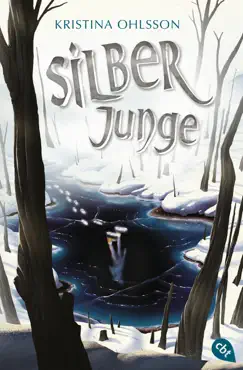 silberjunge book cover image
