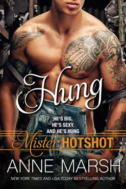hung book cover image