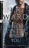 Where Winter Finds You book summary, reviews and download