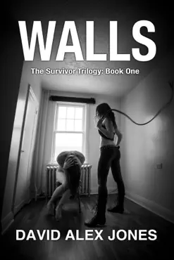walls book cover image