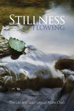 stillness flowing book cover image