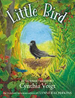 little bird book cover image