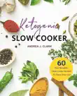 Keto Slow Cooker synopsis, comments