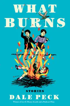 what burns book cover image